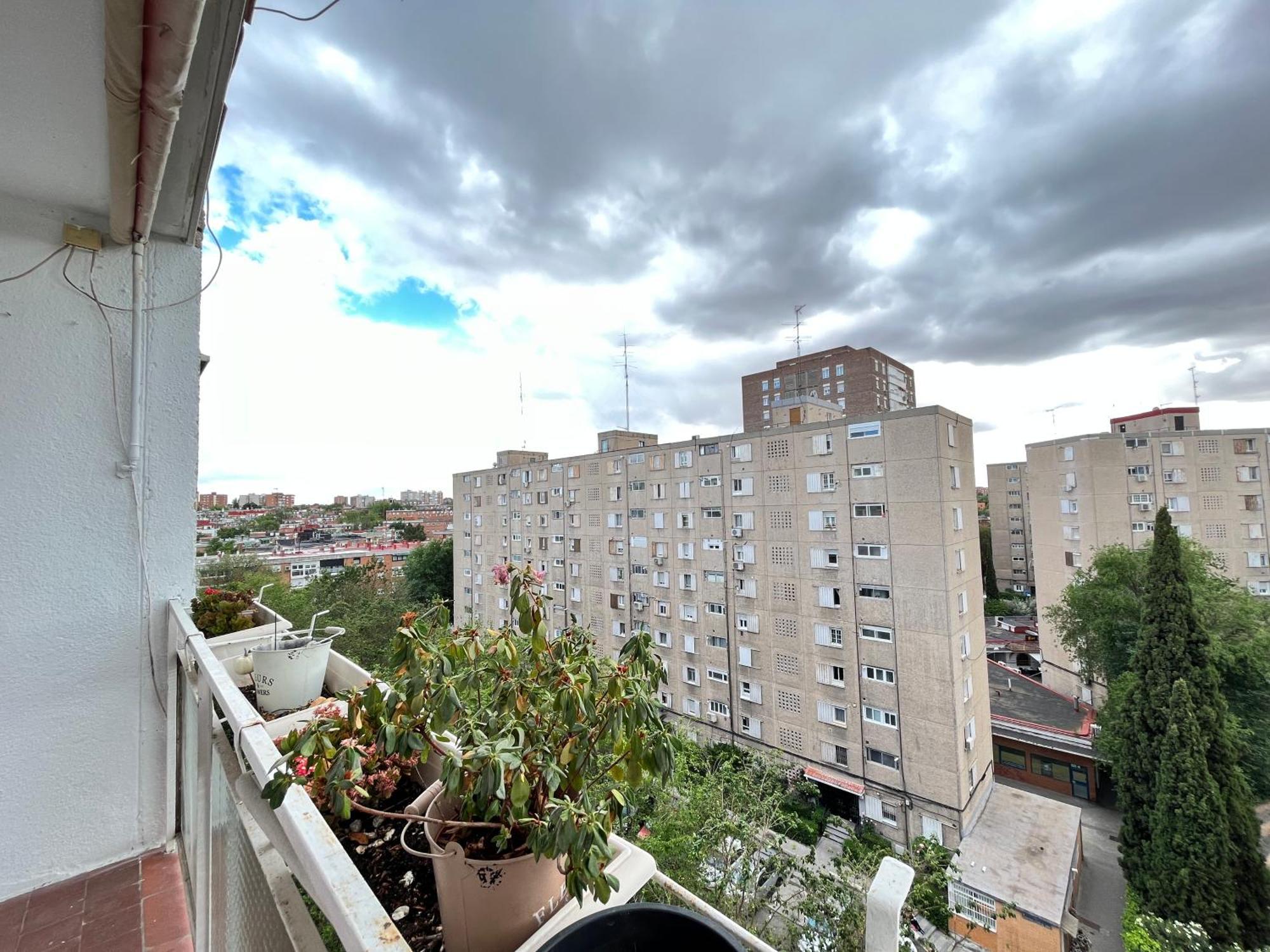 Gran Piso Retiro Corregidor Temporal Apartment Madrid Ngoại thất bức ảnh