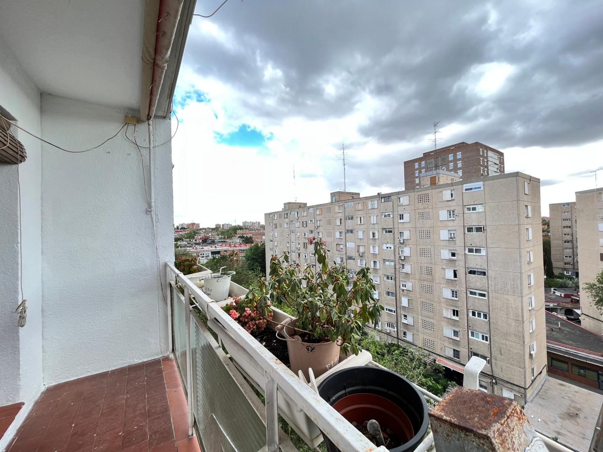 Gran Piso Retiro Corregidor Temporal Apartment Madrid Ngoại thất bức ảnh